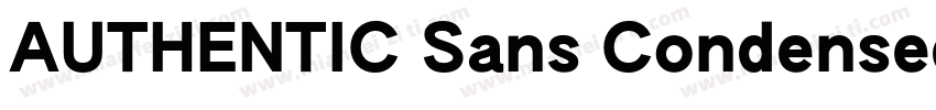 AUTHENTIC Sans Condensed 130字体转换